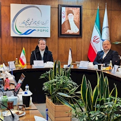 محمد شریعتمداری، عضو هیات مدیره و مدیرعامل شرکت صنایع پتروشیمی خلیج فارس شد