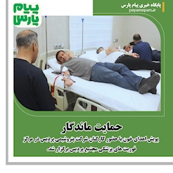 حمایت ماندگار
