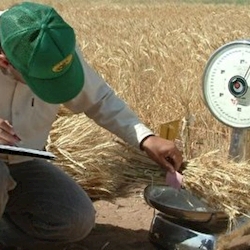 تصویب 32 برنامه 5 ساله در هیات امناء ستاد اجرایی فرمان حضرت امام (ره)